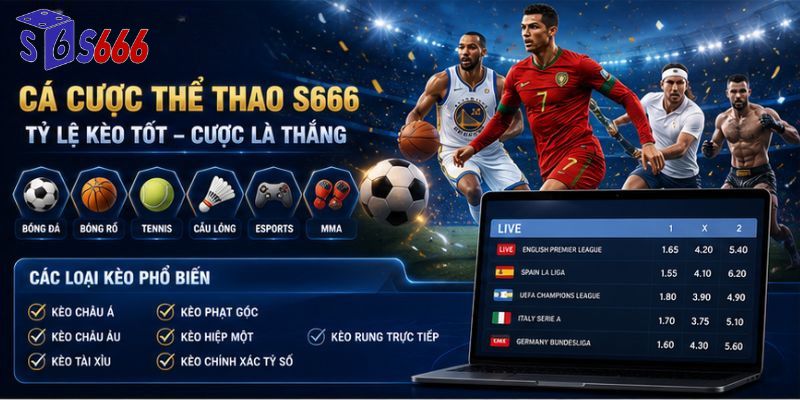 Sảnh thể thao với nhiều lựa chọn theo trận và theo thời điểm